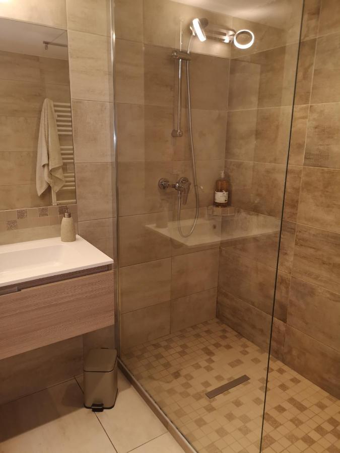 Tres Bel Appartement Avec Vue Sur Les Montagnes Saint Ismier Ngoại thất bức ảnh