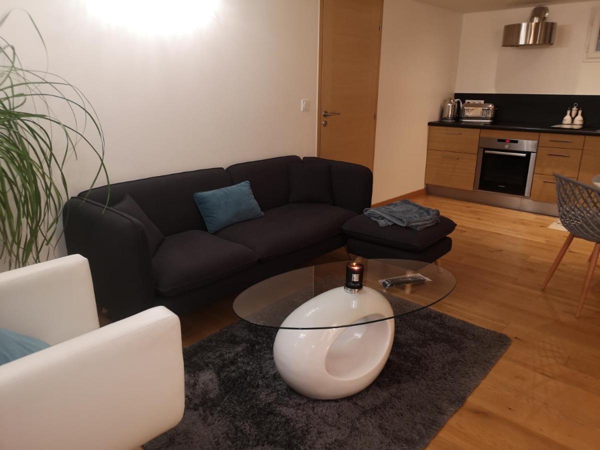 Tres Bel Appartement Avec Vue Sur Les Montagnes Saint Ismier Ngoại thất bức ảnh